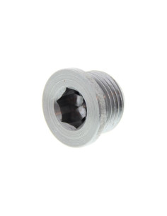 O2 Sensor Hole Bolt (Universal)