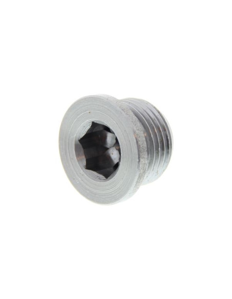 O2 Sensor Hole Bolt (Universal)