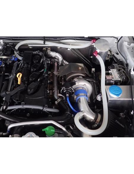 GReddy 0,68L Serbatoio di raccolta olio universale