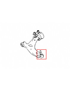 Front Geometry Correction Spacer Ford Focus 2