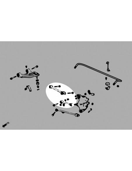 Rear Camber + Toe Control Arm Honda Accord