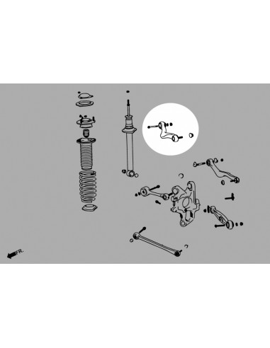 Kit Camber Superiore Posteriore Hardrace Lexus LS MK4 XF40