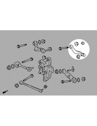 Kit Regolazione Convergenza Posteriore Hardrace Lexus LS MK4 XF40