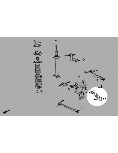 Rear Lower Camber Kit Lexus LS