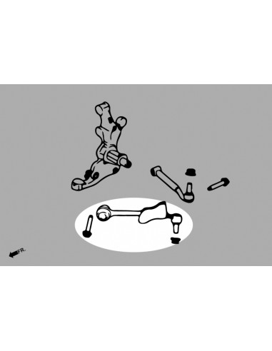 Braccio posteriore inferiore anteriore Hardrace Ford Mustang MK6 S550