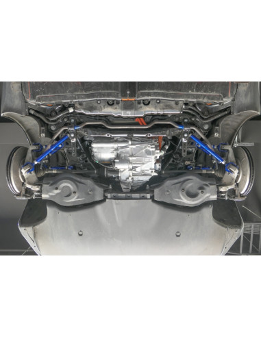 Braccio Longitudinale Posteriore Hardrace Tesla Model 3 Model Y