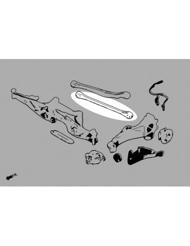 Rear Lower Arm Bmw 2 Series, X2, Mini Clubman, Countryman