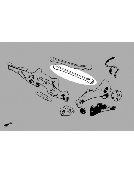 Braccio Inferiore Posteriore Hardrace BMW Serie 2 F44 X2 F39 Mini Countryman F60 JCW Clubman F54 JCW