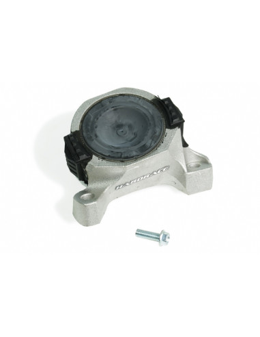 Kit Supporto motore rinforzato Hardrace Ford Focus MK2 + ST/RS