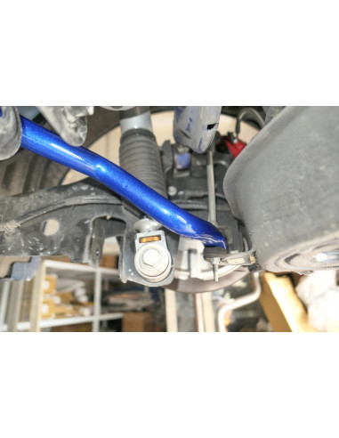 Barra Stabilizzatrice Posteriore Hardrace Ford Focus MK4 ST C519