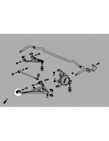 Boccola Braccio Inferiore Posteriore Hardrace Honda S2000 MK1 MK2