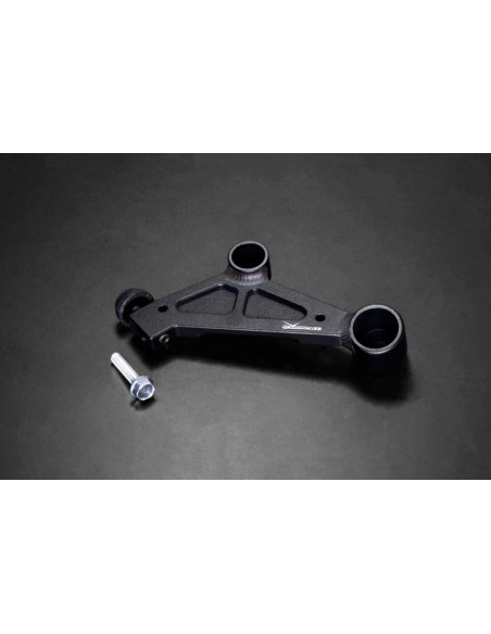 Brake Master Cylinder Stopper Tesla MODEL 3