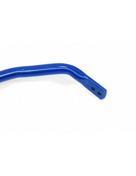 Rear Sway Bar  Tesla Model y