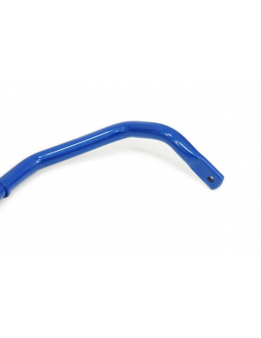 Rear Sway Bar Tesla Model s, Model x