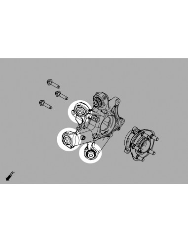 Boccola fusello posteriore superiore/inferiore Hardrace Tesla Model 3 Model Y