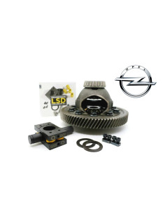 LSD Progressive Differential for F18 / F20 / F28 Gearbox (Part No. RD5020)