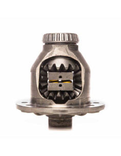 LSD Progressive Differential for Type 188K Diff. (Part No. RD5006) 2