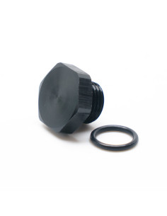 Tappo regolatore di pressione del carburante AEM - 9/16"x18 (Dash 6)
