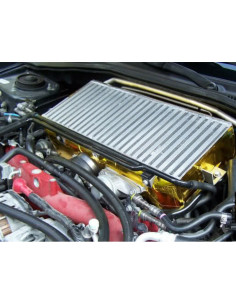 Gold Heat Reflective Screen (1m²) 2