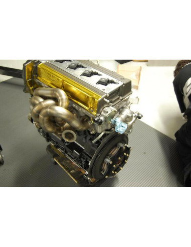 Schermo termoriflettente dorato (1 m²)