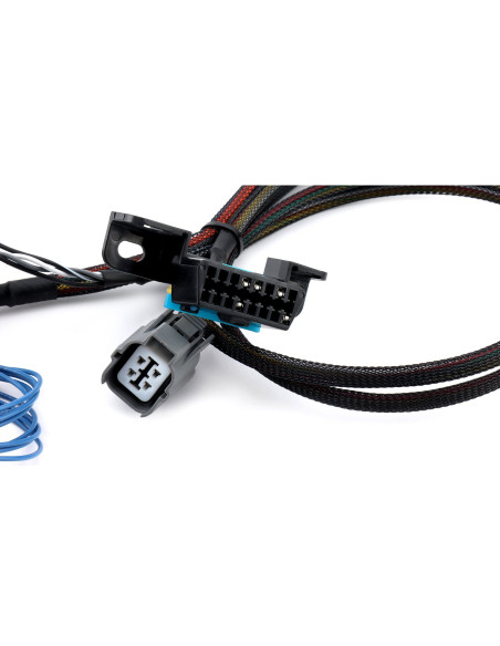 Cablaggio di conversione Hybrid Racing  Swap Motore K20A / K20A2 / K20A3 Per Honda Civic MK4 + CRX MK2
