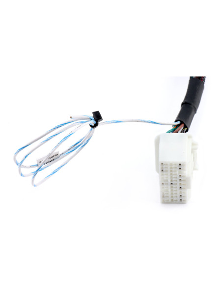 K-Series Swap Conversion Wiring Harness (96-98 Civic)