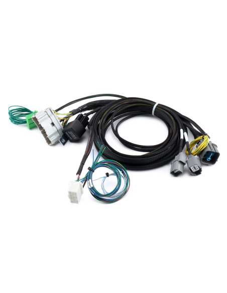 Cablaggio di conversioneHybrid Racing  Swap Motore K20A, K20A2, K20A3 Honda Civic MK6 + Type R 99-00